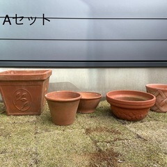 ご成約　植木鉢　Aセット