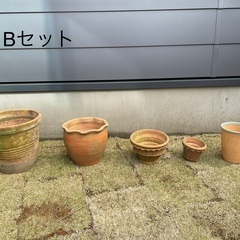 ご成約　植木鉢　Bセット