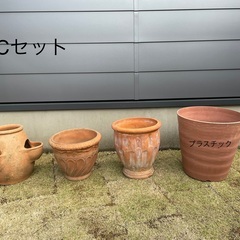 ご成約　植木鉢　Cセット
