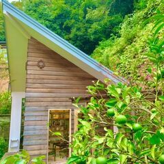 2/22(火)10:00〜　緑溢れるリラックス空間でモーニングヨガ
