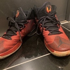 エアジョーダン メンズ Jordan30 XXX