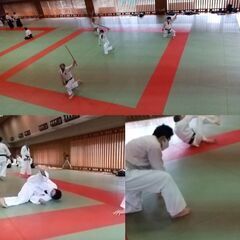琉球王家秘伝本部流御殿武術の画像