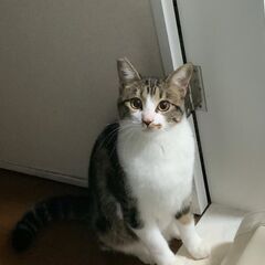 里親決定⭐︎慎重派の王子くん