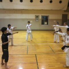 琉球王家秘伝本部流御殿武術の画像
