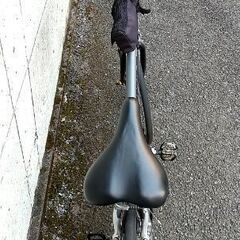 Escape R3 (2025) | City & Hybrid bike | Giant Bicycles Japan