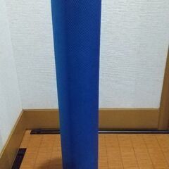 ストレッチポール　背骨伸ばし