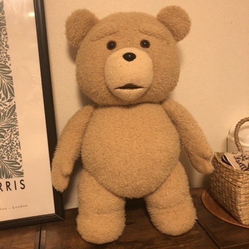 TED テッド  実寸　ぬいぐるみ　英語話します！