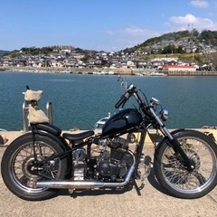 ヘイスト250