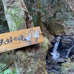 一緒に音羽山に登りませんか〜⛰