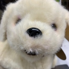 4/22 値下げ⭐️新品同様⭐️イワヤ 部屋ともワンちゃんレトリ...