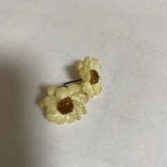 本物のお花のピアスの画像