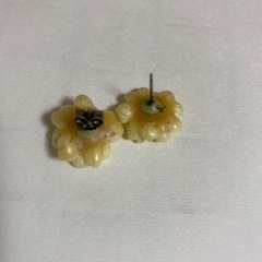 本物のお花のピアスの画像