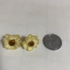 本物のお花のピアスの画像