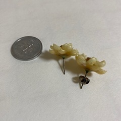 本物のお花のピアスの画像