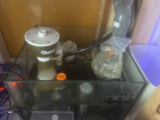 海水魚全セット
