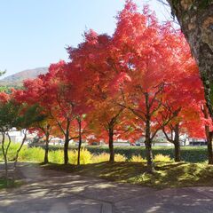 よろしくお願いします。 - 沖縄市