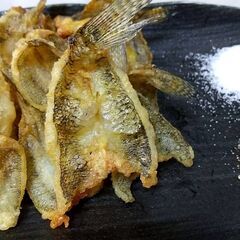 クリぼっち釣り会！！！ - 江戸川区