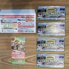 城島高原パーク 無料招待券【受け渡し決定】