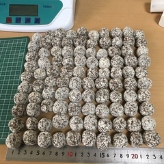 ボールろ材 納豆菌入り多孔質パワーボール100+5個新品送料込み