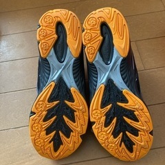 未使用品　瞬足　22.0㎝の画像