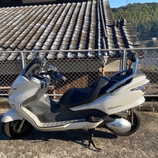 ホンダフォルツァZ MF08 実働車