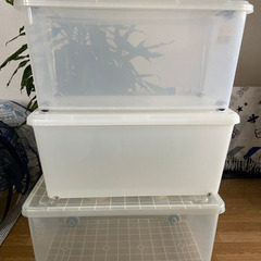 衣装ケースお譲りします③の画像