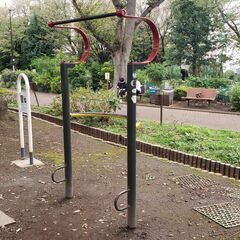 【1件100円】中央区の公園写真の簡単な撮影 - 中央区