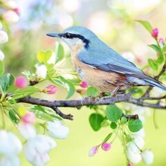 🍀自分を知る価値観ワークやってます😊