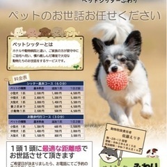 ペットシッターふわりです