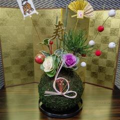 迎春 苔玉を一緒に作りませんか？🍀🎍🍀定員数となりました。の画像