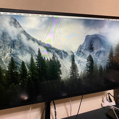 【美品🖥アイオーデータ(I−O DATA】31.5インチ 液晶ディスプレイモニター HDの画像