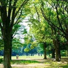 【1/29(日)13:30~初心者歓迎】一緒にバドミントンをしませんか♪ - 新宿区