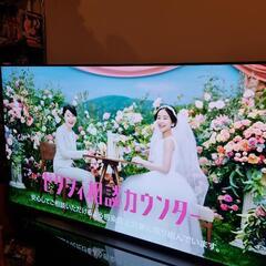 有機ＥＬテレビ 65型