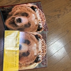 動物百科