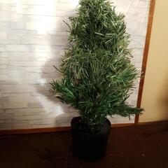 値下げ七色に光るツリーの画像