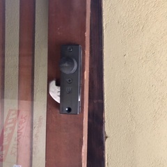 格安ガラス付き大型玄関扉の画像