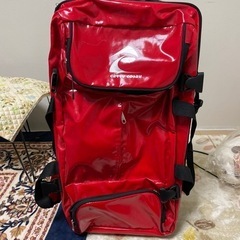 キャリーバック