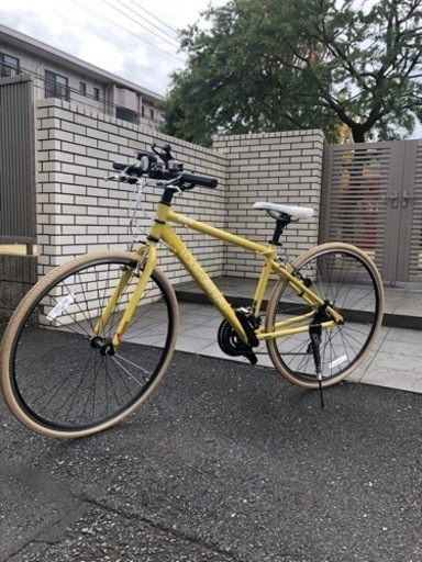 ルイガノ　LOUIS GARNEAU SETTER8.0   イエロー