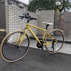 ルイガノ (Louis Garneu) Setter 8.0 イエロー ルイガノ LOUIS GARNEAU SETTER8.0 イエロー