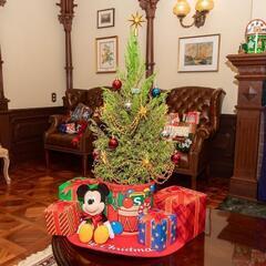 ディズニークリスマスツリーセット