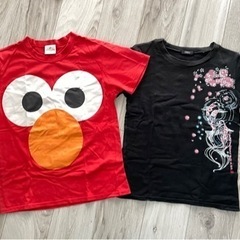 【中古】Tシャツ　レディース&メンズの画像