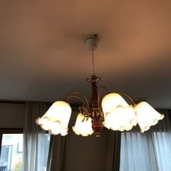 照明