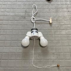 照明