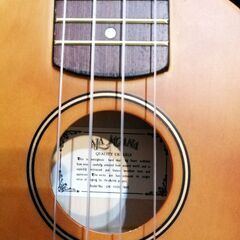 アラモアナ　ウクレレの画像