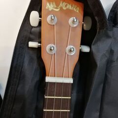 アラモアナ　ウクレレの画像