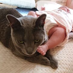 一緒に楽しんでくれる友人（ママ友）募集です！ - ママ友