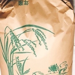 残りわずか！新米コシヒカリ　愛知産30キロ