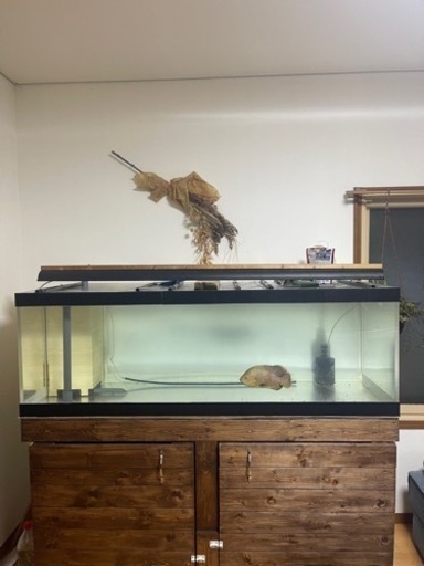 1500×600×600アクリルオーバーフロー水槽