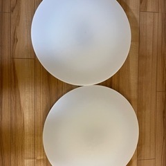 照明無料で差し上げます（2つ）