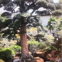 植木職人大募集！の画像